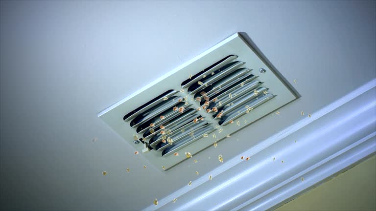 Best General Air Duct Cleaning  in Los Alamos, CA